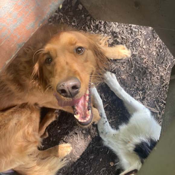 Meet your Posher, Nancy - Picture 1 of 1